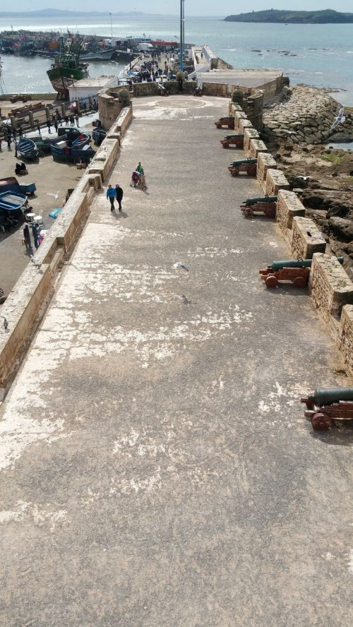 essaouira fishing port