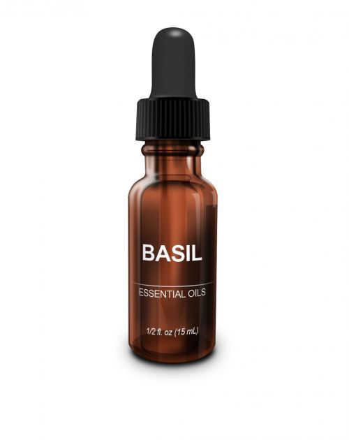 essential oil basil aromatherapy