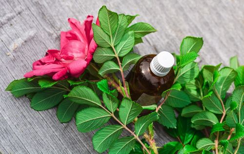 essential oils alternative aroma