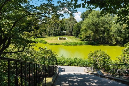 estate  stairs  murky pond