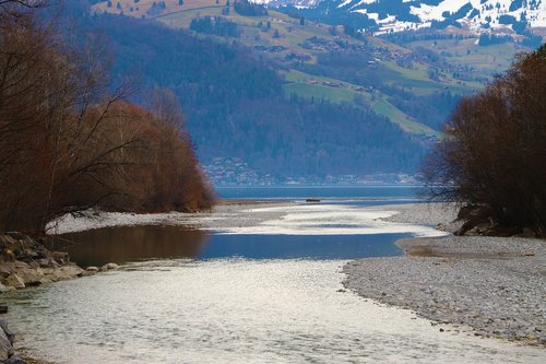 estuary  lake  river