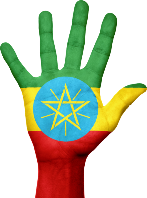 ethiopia flag hand