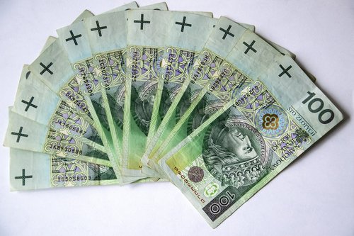 euro banknotes  polish banknotes  money