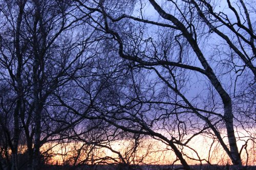 evening winter evening view