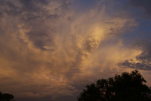 evening cloud tree
