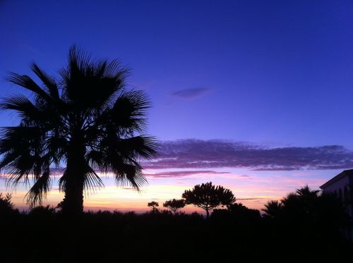 evening sky moon