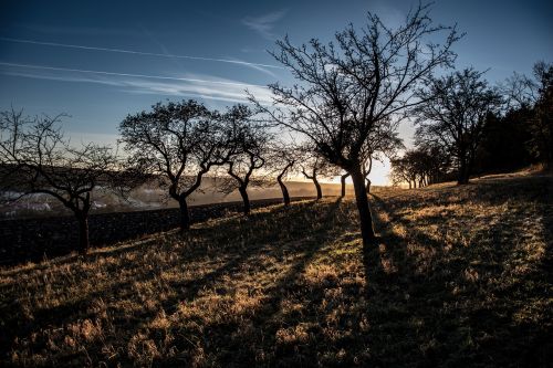 evening sunset shadow