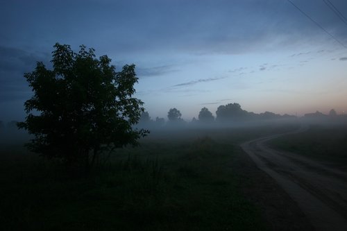 evening  road  fog