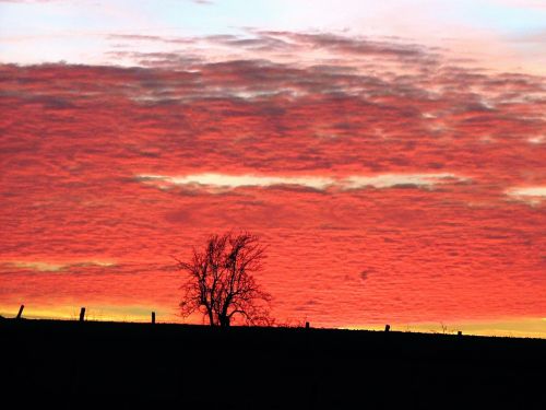 evening red sunset