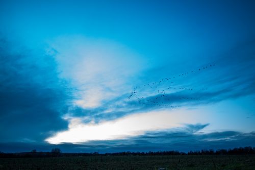 evening blue sky