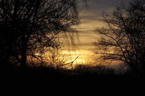 evening sky sunset trees