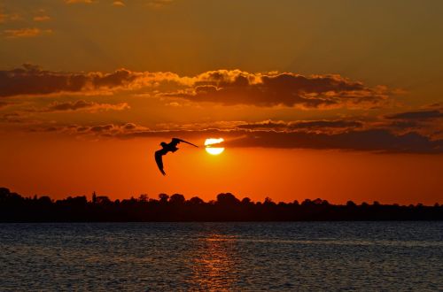 evening sun baltic sea sunset