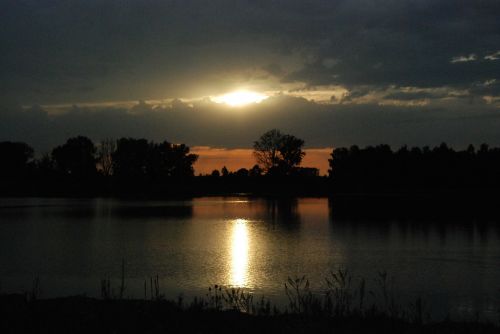 evening sun lake light