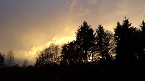 evening sun  shadow  against light