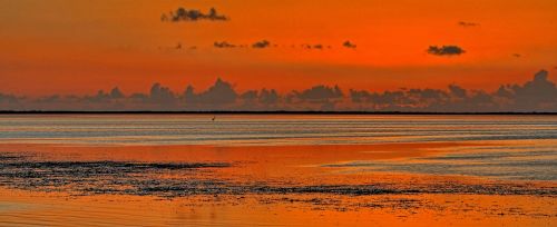 Everglades Sunset