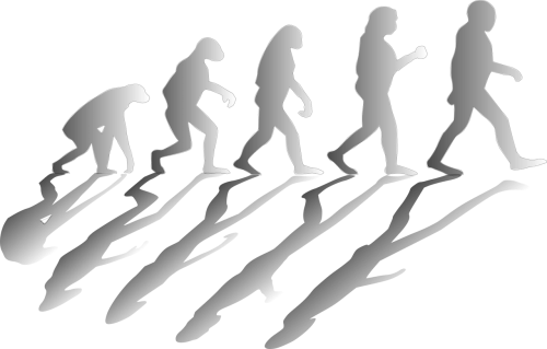 evolution evolving mankind