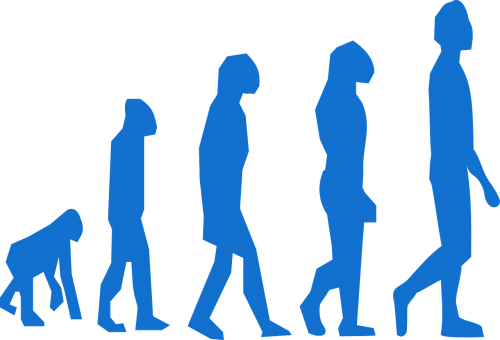 evolution monkey man