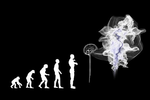 evolution  artificial intelligence  brain