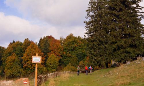 excursion forest autumn