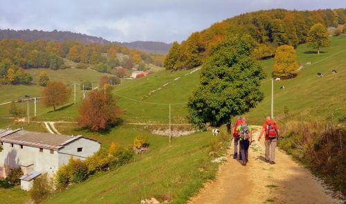 excursion walk trail