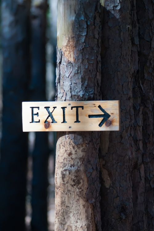 Exit Sign On A Tree