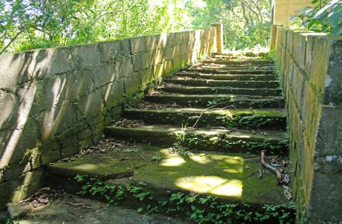 Exterior Steps With Moss