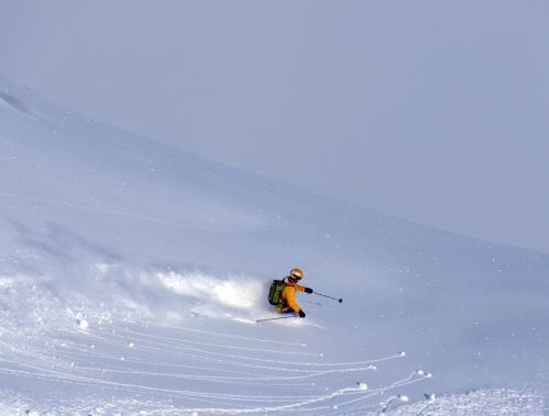 extreme skier winter