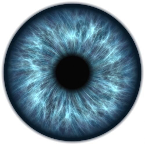 eye iris vision