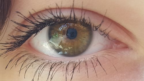 eye watch green