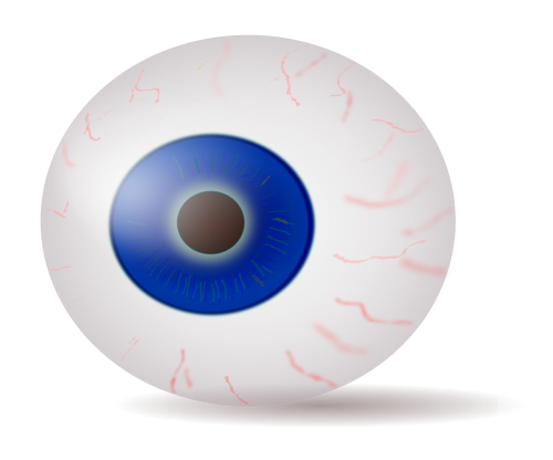 eye eyeball iris
