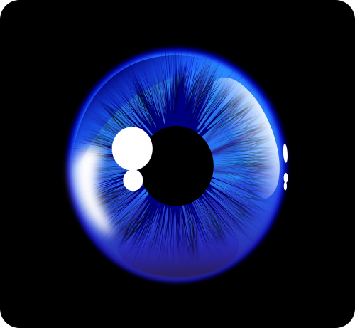 eye iris pupil