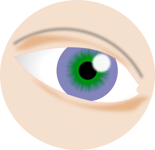 eye visual iris