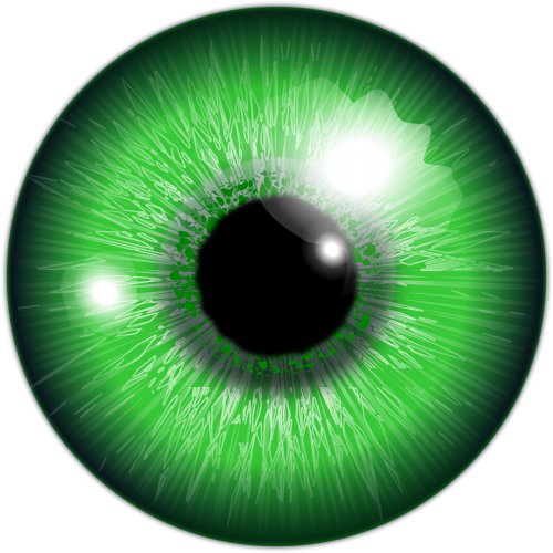 eye green iris