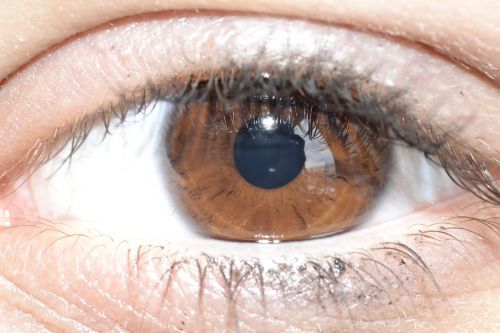 eye view brown