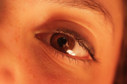 eye eyeball macro