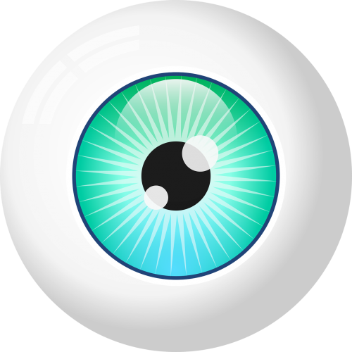 eye glass eye free vector graphics