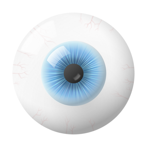 eye iris globe