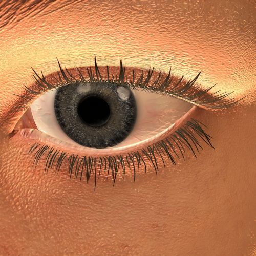 eye woman eyelashes