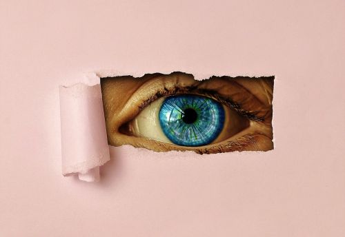 eye watch paper