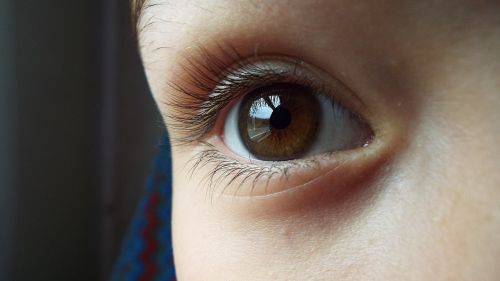 eye brown brown eyes