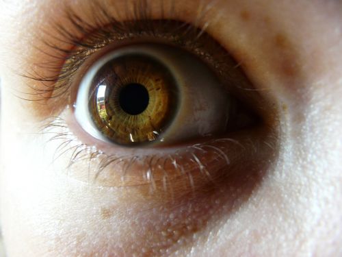 eye human eyeball