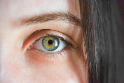 eye iris algae