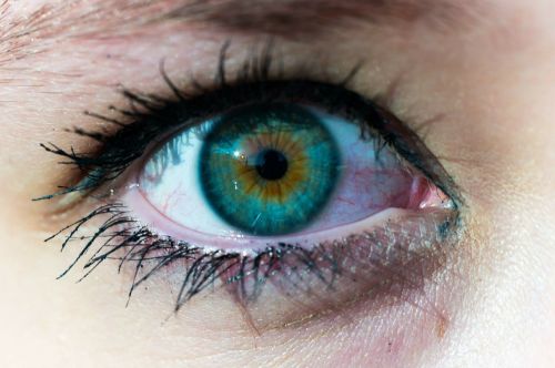 eye color iris