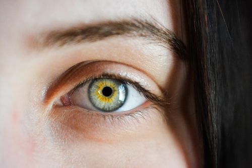eye iris algae