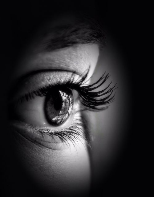 eye pupil iris