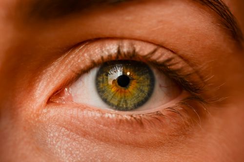 eye iris sight