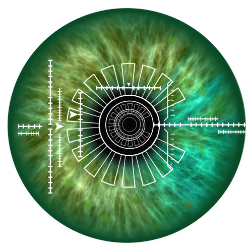 eye iris biometrics