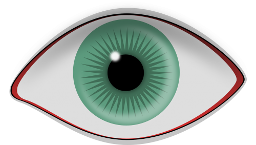 eye pupil iris