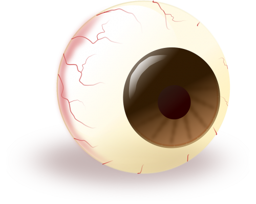 eye eyeball brown