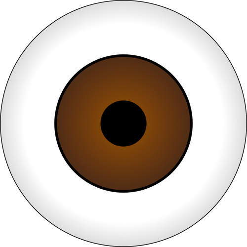 eye brown pupil